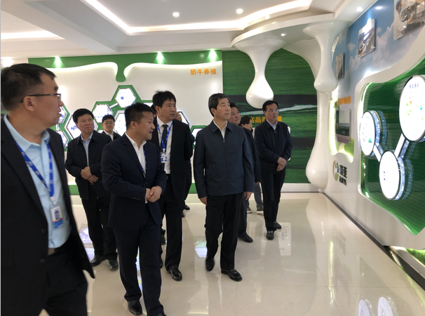 河南省委副書記、省長陳潤兒一行蒞臨 花花牛集團魯山瑞亞牧業(yè)有限公司視察調研