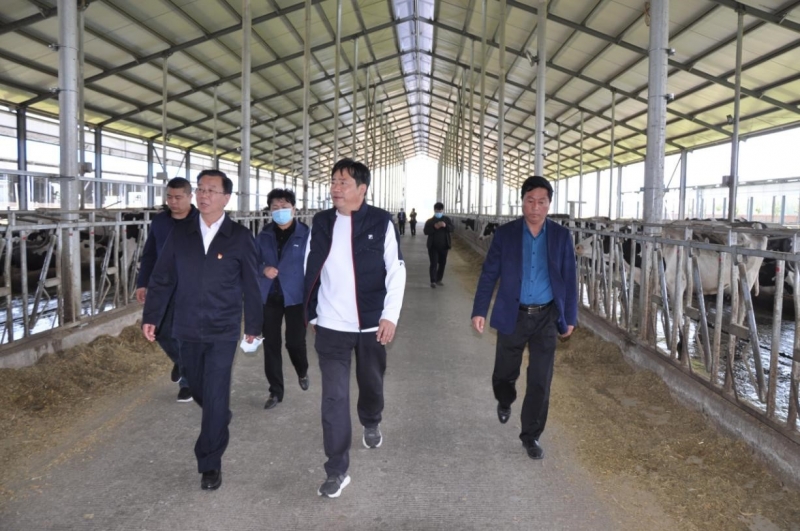 商丘市委常委、宣傳部部長王全周一行蒞臨睢縣瑞亞牧業(yè)有限公司調(diào)研