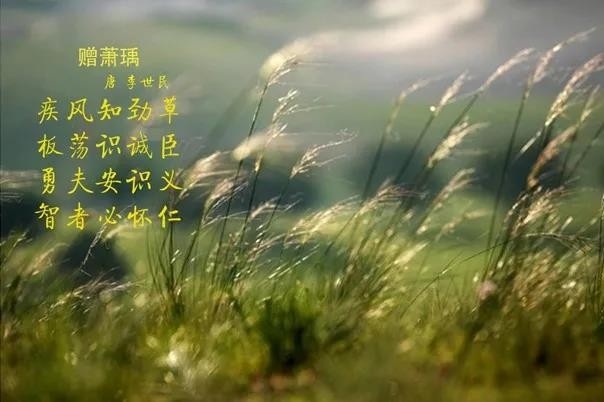花花牛 | 疾風(fēng)來臨，你是不是勁草？